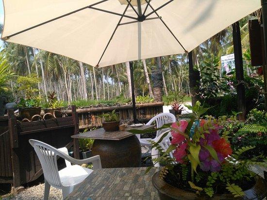 The Pink Kangaroo Cafe